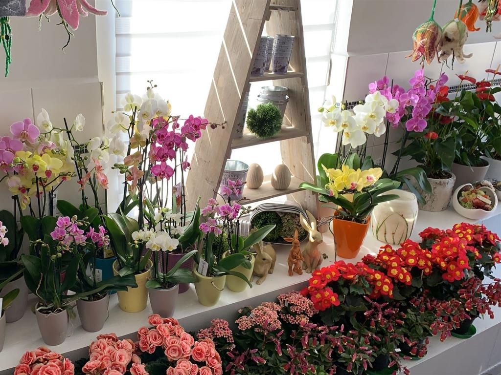 Blumen Scheffel Geschäft